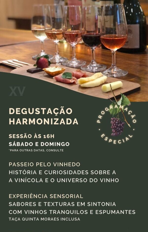 Degustação Harmonizada na Vinícola XV de Novembro | Rota do Vinho