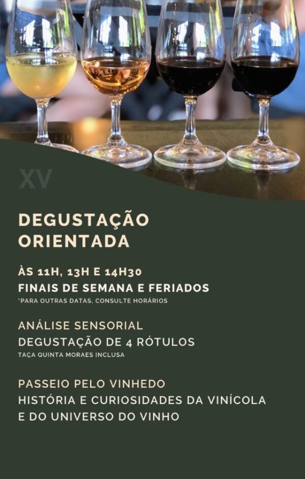 Tour nos Vinhedos + Degustação Orientada da Vinícola XV de Novembro | Rota do Vinho