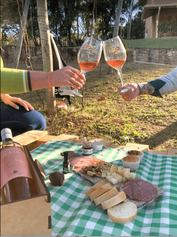 Piquenique na Vinícola XV de Novembro | Rota do Vinho (2 pessoas)